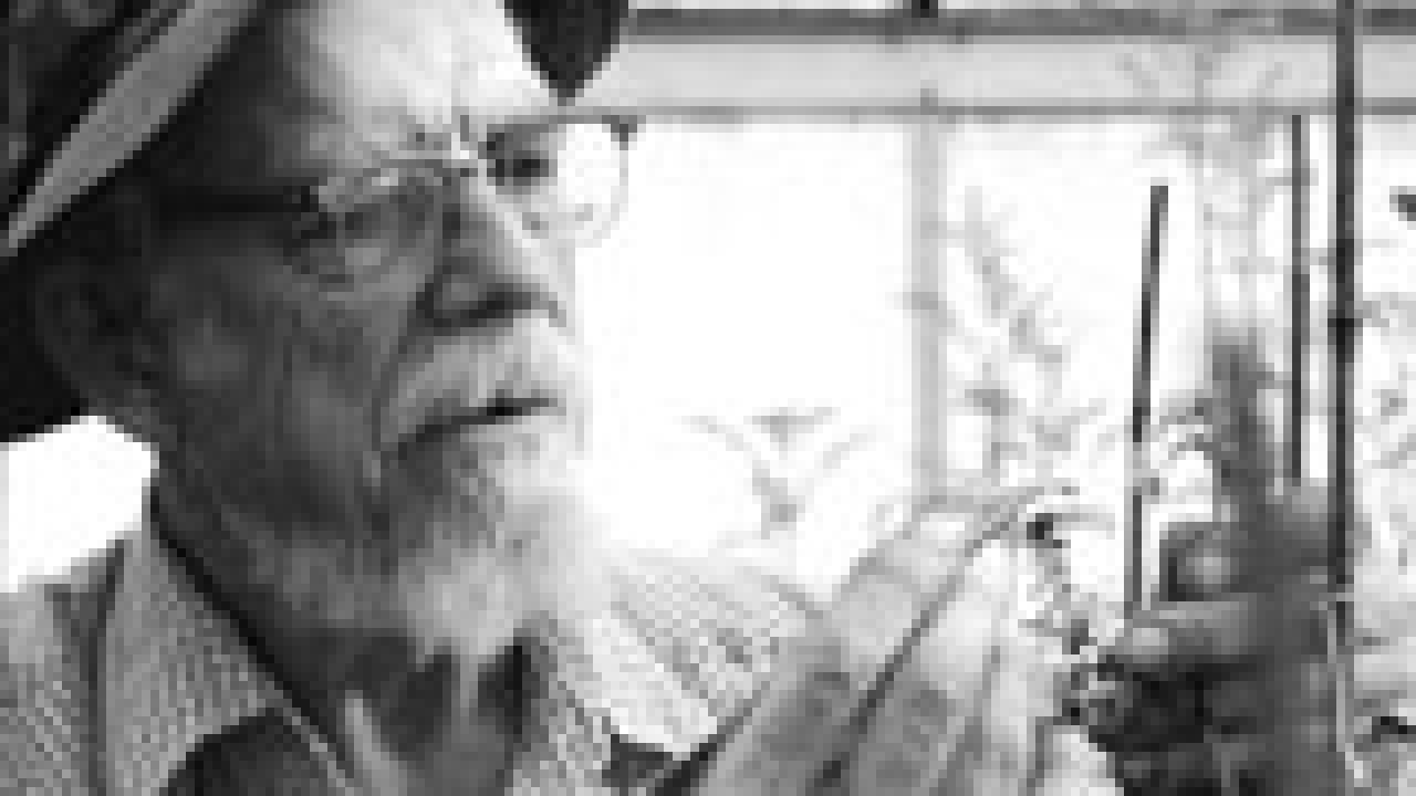 Photo of Charles Rick inspecting a tomato plant.