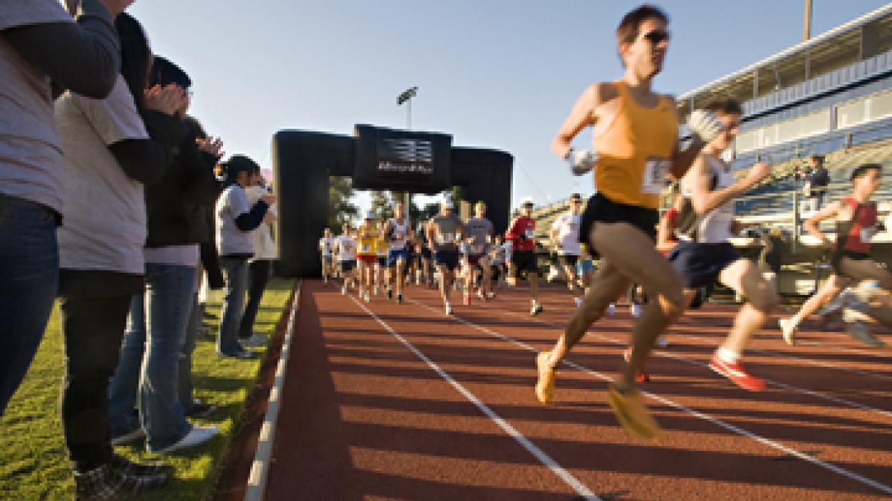 Run for Your Lives, at Toomey Field