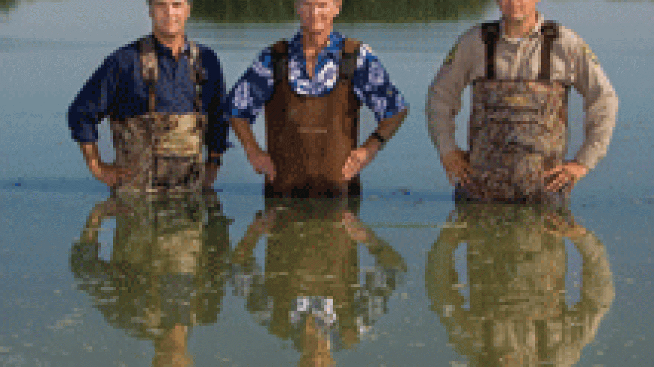 Peter Stent, center, and other donors established an endowed professorship to support the research of John Eadie, left, and his students. Shaun Oldenburger 08, right, is now a state wildlife biologist.
