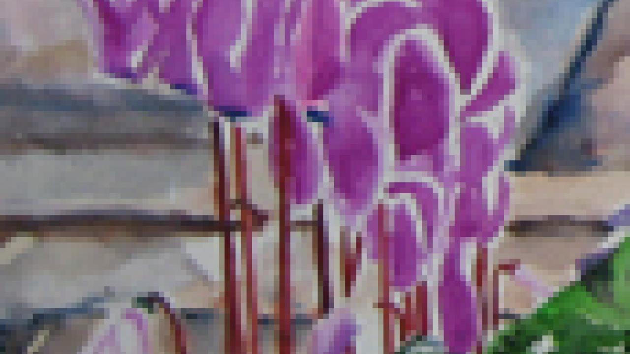 Image: Peter Shahrokh's "The Banister" (cropped)