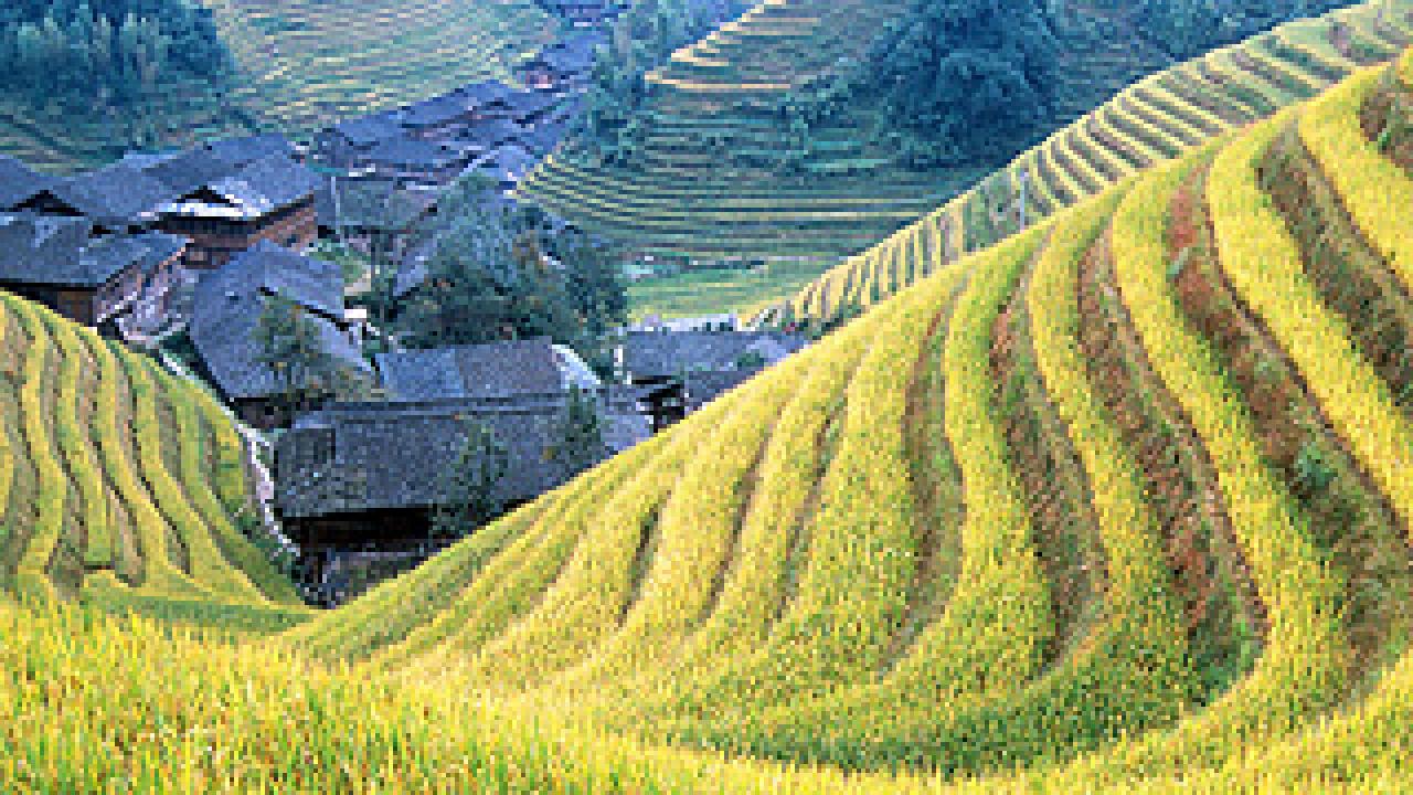 A hillside farm in China
