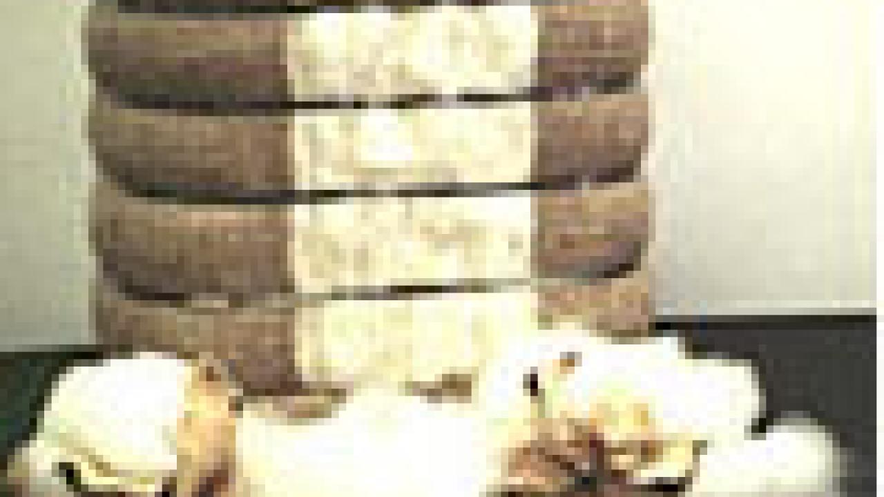 Cotton plants served as the model to study cellulose production.