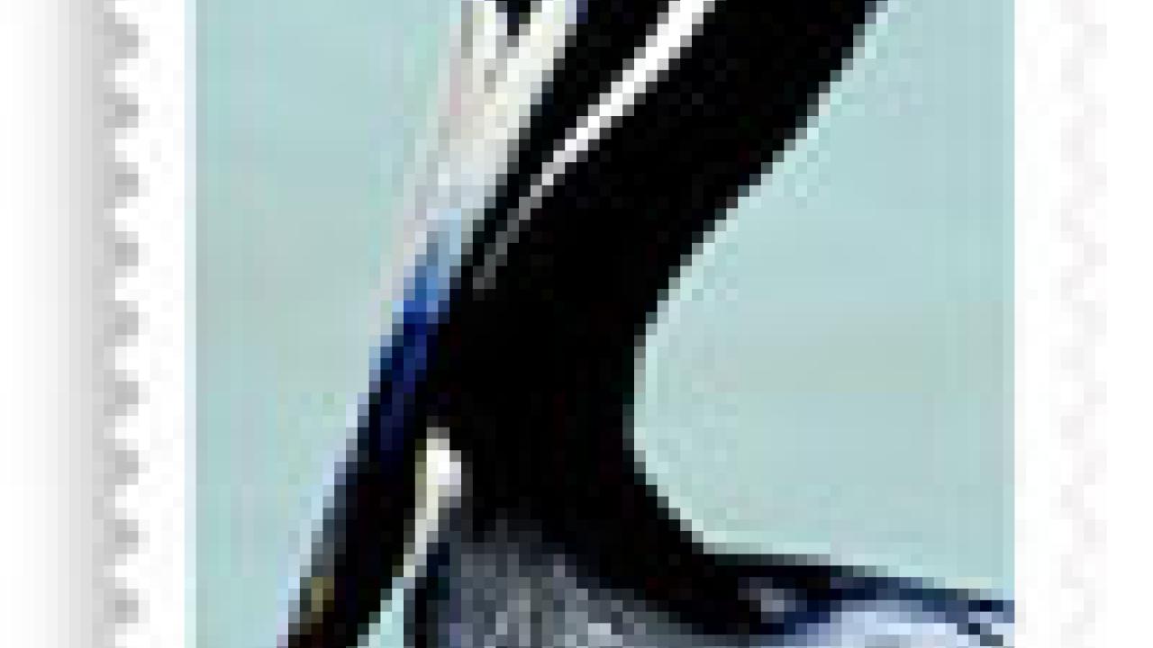 photo of James Brandt's stamp featuring a profile of a pelican