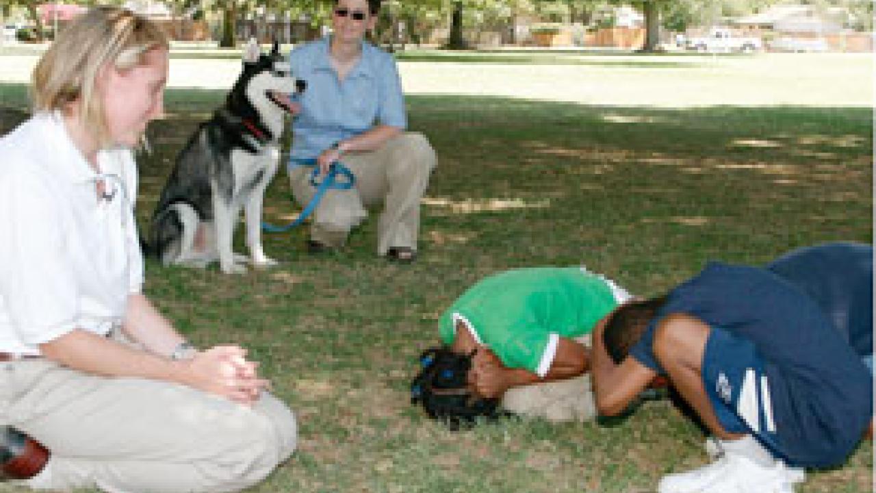 Photo: Pediatric resident and dog bite instructor Stephanie Flaherty, left, instructs the kids while program assistant Carey Ryan holds Nanook the hus