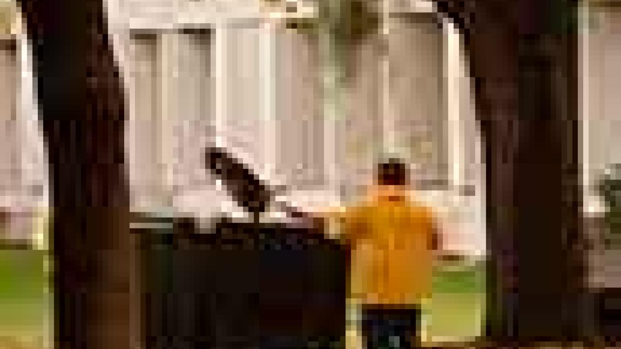 Photo: Groundskeeper tackles fallen leaves.