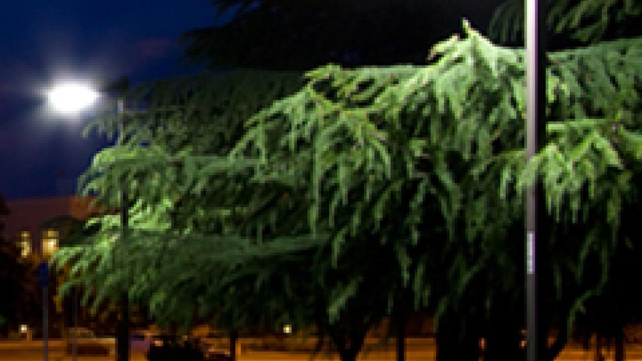 Induction lighting, shown in a School of Veterinary Medicine parking lot, will reduce energy costs while providing adequate light at night.