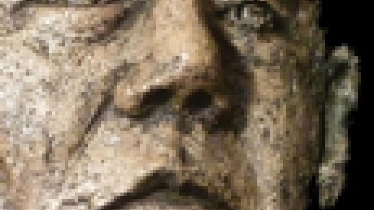 Photo: Joanna Kidd's "Larry" sculpture (cropped)