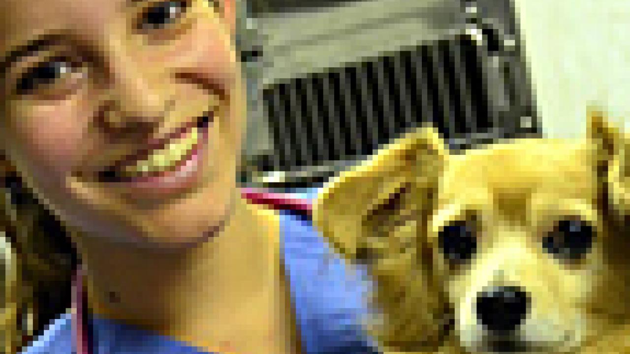 Photo: Vet student Rachel Ferris in scrubs, holding a dog