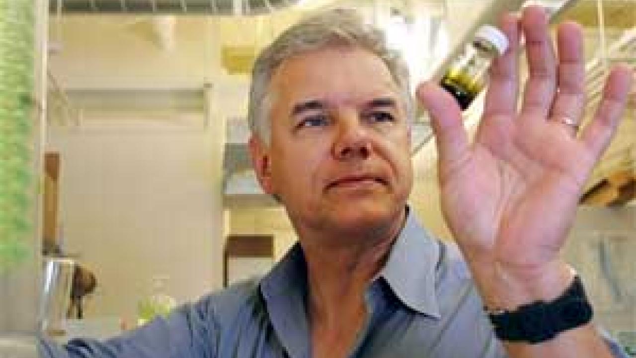 photo: man examining vial in laboratory