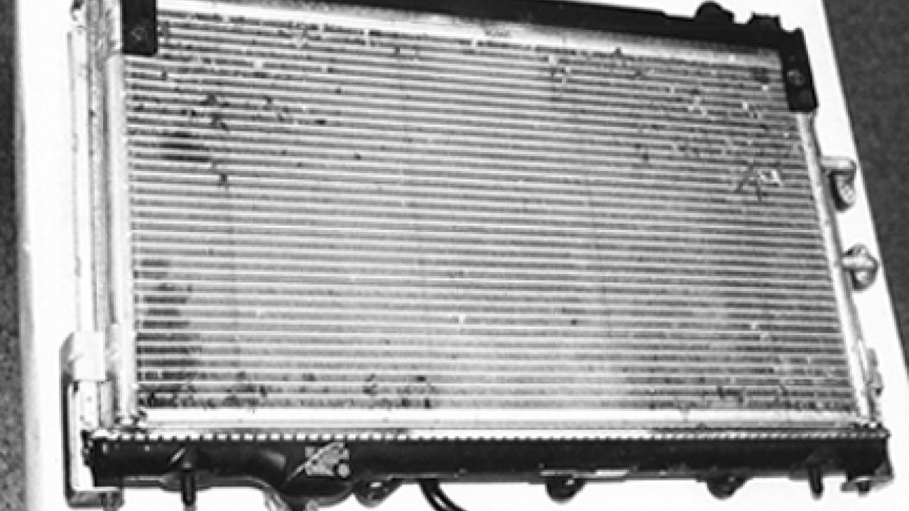 The rental car radiator -- and bugs.