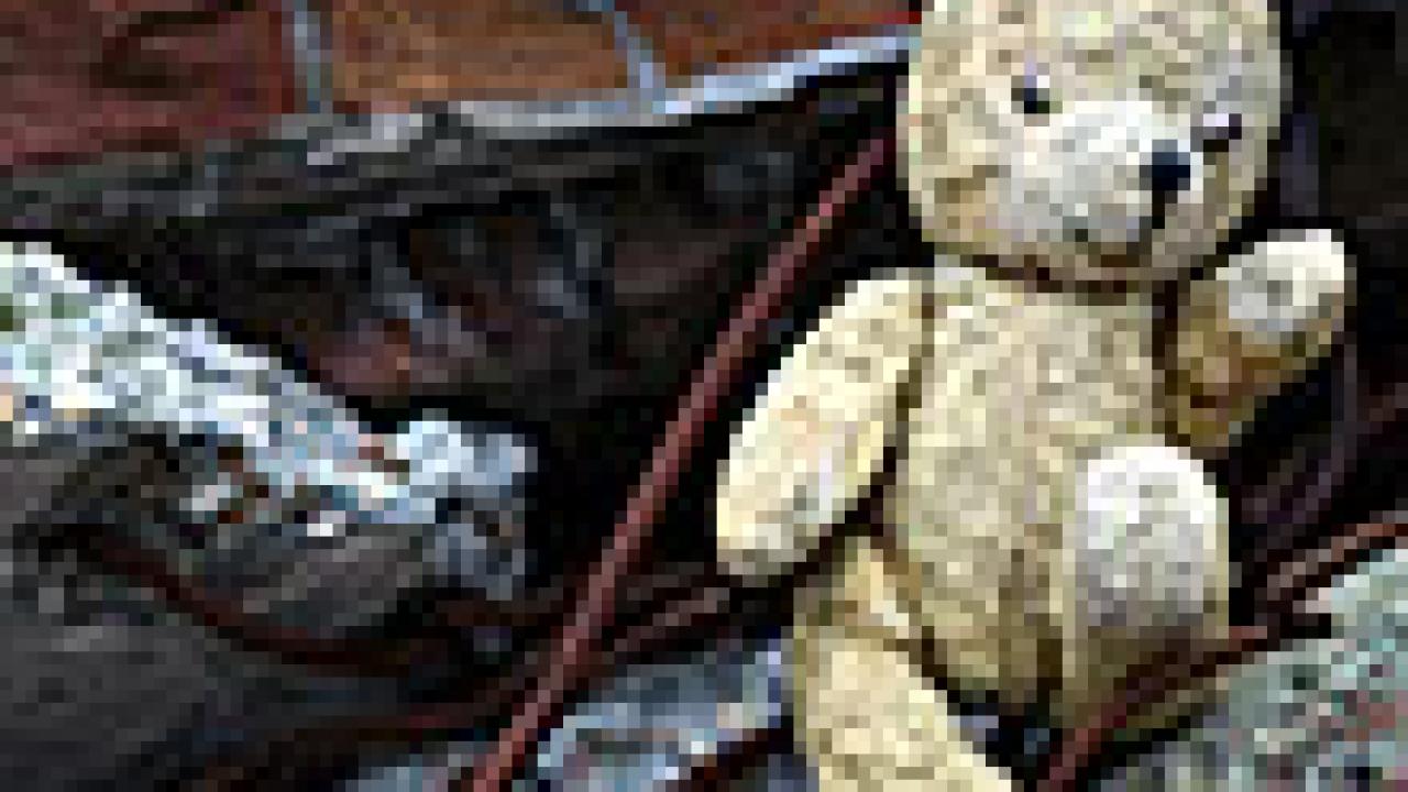 Photo: teddy bear in rubble