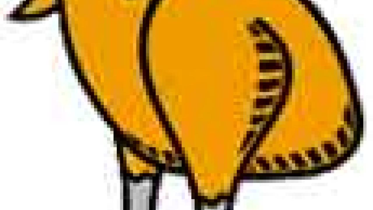 Graphic: "Running of the Turkeys" logo, headless turkey in running shoes