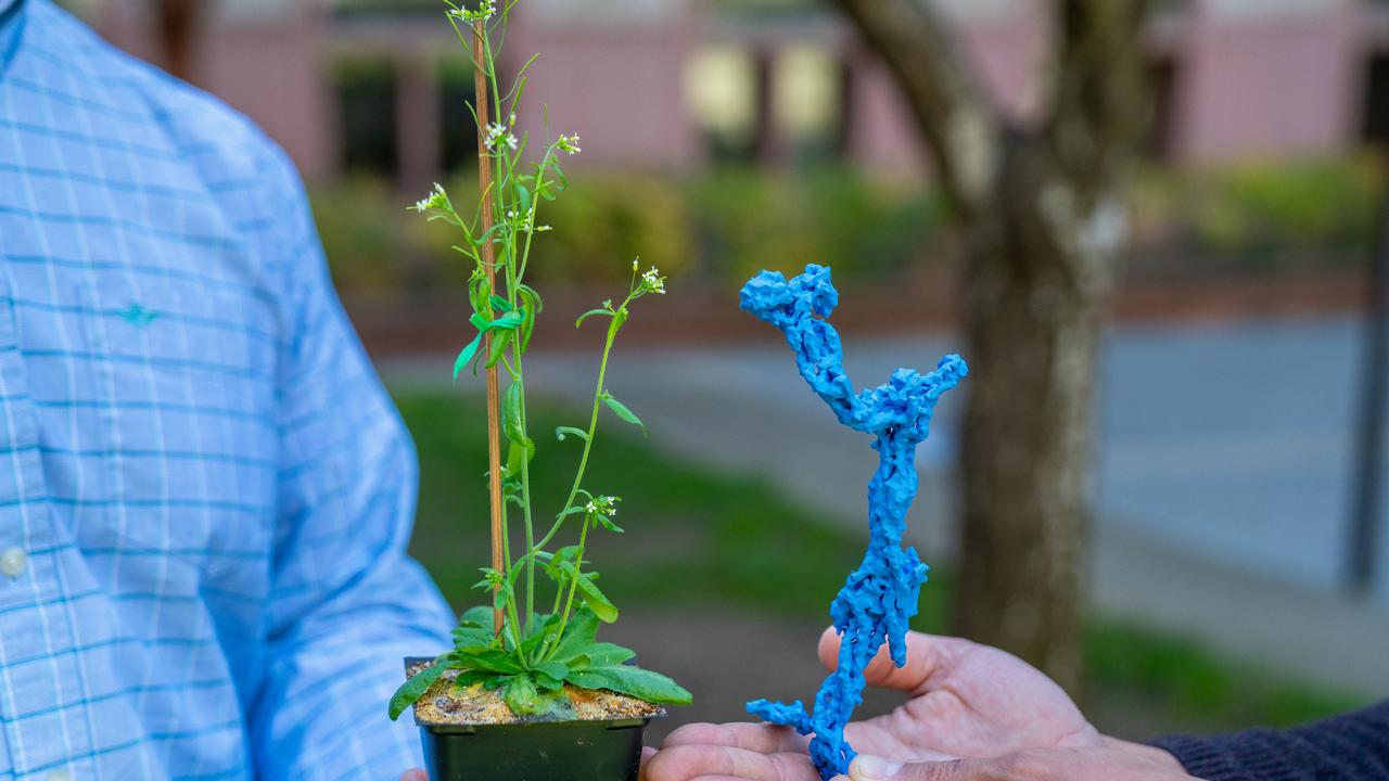 In center, a pot plant held by a person in a light blue shirt, and a blue plastic model held by someone in a dark blue shirt. Faces are not visible. 