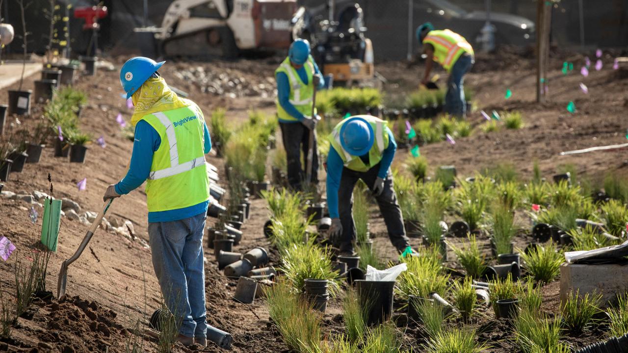 construction workers planting