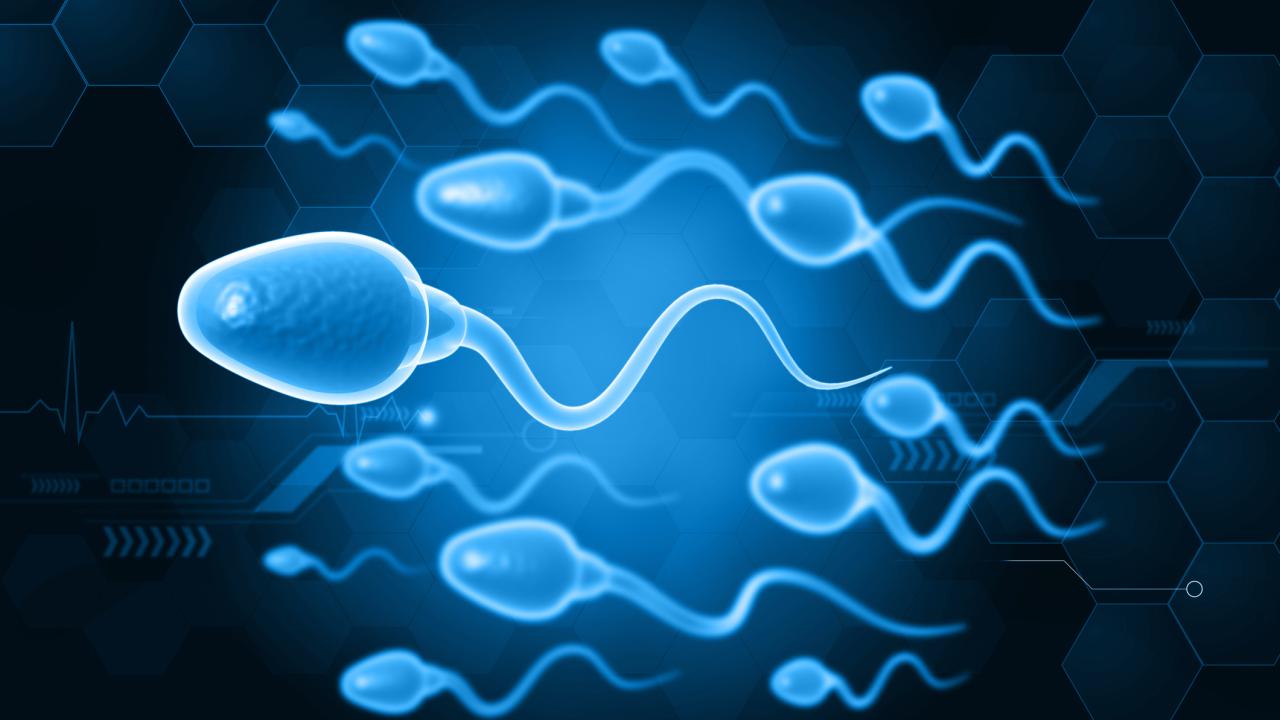 Light blue ovals with wavy tails against a darker blue background