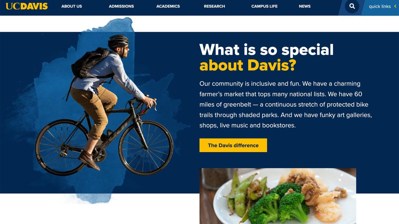 Screenshot of webpage about the city of Davis