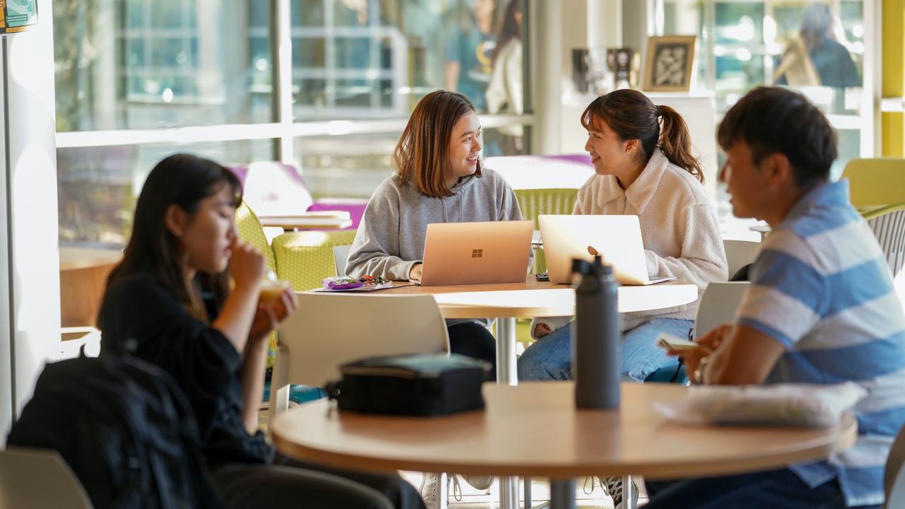 Students work on their laptops in the International Center at UC Davis