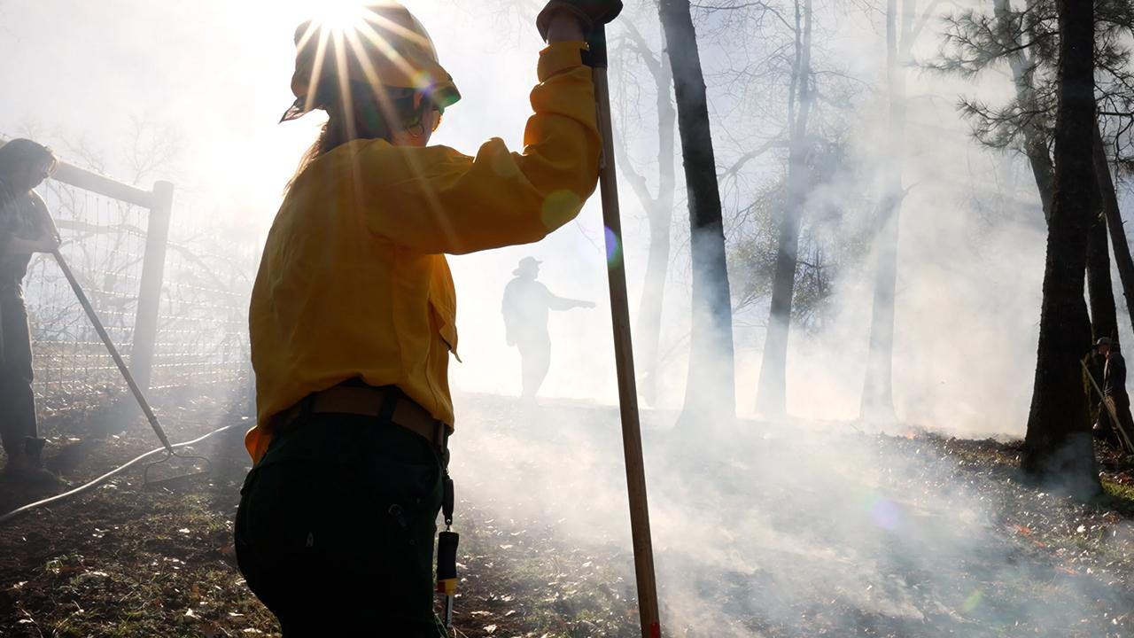 Sunlight shines over the helmet of a woman in firefighting yellow shirt amid smoky woods during a prescribed burn