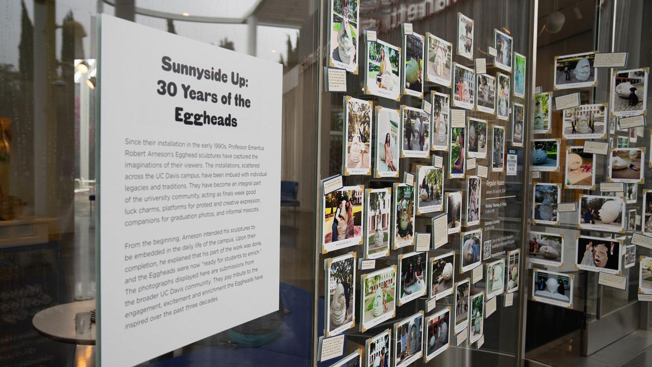 window display of postcard-type photos and text about the Eggheads