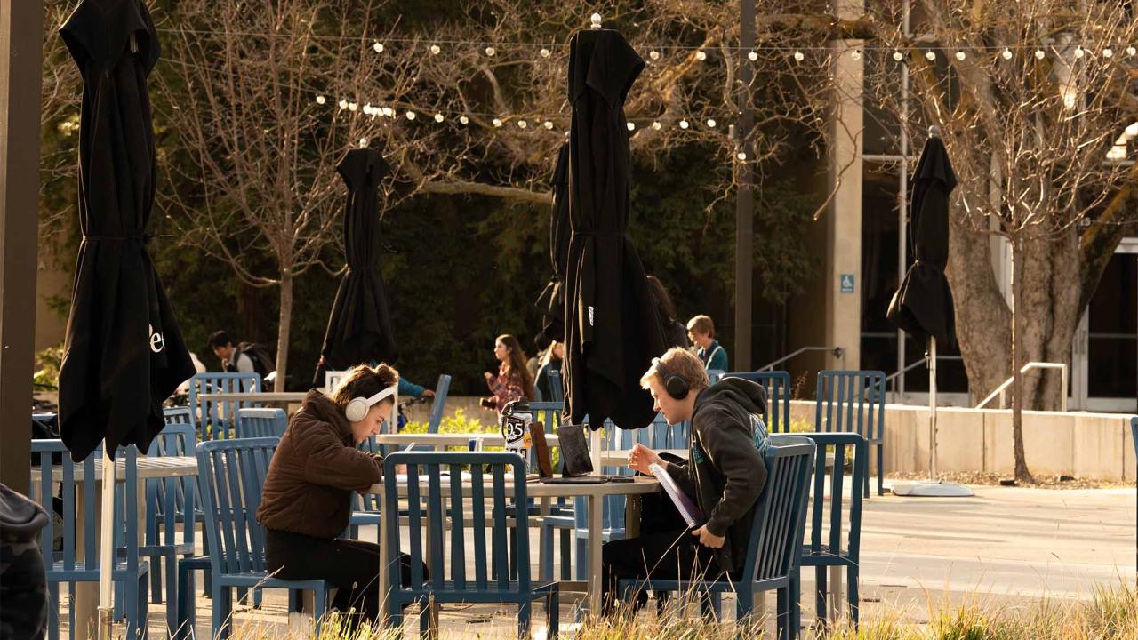 Students studying on campus