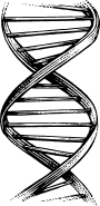 Dna double helix illustration