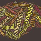 Our brains cope with many distractions. New UC Davis research shows what happens in the brain as we pay attention to an object. 