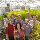 Serving on the transition committee for the proposed Department of Plant Sciences are, from left, Heiner Lieth of environmental horticulture, Joe DiTomaso of crop and ecosystem sciences, Beth Mitcham of horticultural sciences, John Yoder of vege