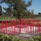 Cornerstones International Festival of Gardens features the work of six UC Davis students. The garden is designed to reflect "the concept of the attainment of knowledge," says student team leader Diana Walker-Smith.