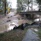 A temporary culvert and earthen dam are submerged in the arboretum waterway the afternoon of Jan. 4, just west of the California Avenue bridge.