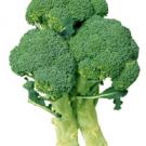 photo: head of broccoli