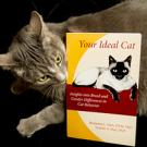 Cat checking out the book "Your Ideal Cat"