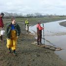 Four people in waders standing in mud near a stream