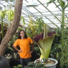 Photo: Ernesto Sandoval standing next to unfurled corpse flower in the Botanical Conservatory.