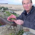 Photo: man holding crab