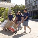 Photo: men with boxes on dollies