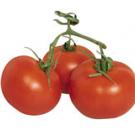 Photo: three tomatoes