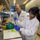 A doctor and a student, both wearing goggles, work with substances in a lab setting