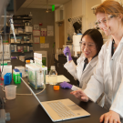 Professor Daniela Barile works on her laptop computer as Tian Tian, a foot science major, work at Daniela Barile Food Science Laboratory 