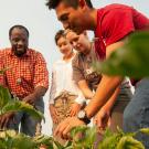 Two students and a professor investigate crops