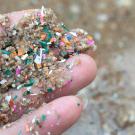 Closeup photo of a hand with wet sand and many small pieces of colored plastic, most no larger than two or three grains of sand.