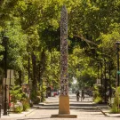 Photo of a tree lined street with an obelisk in the middle of it.