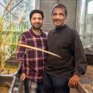 Two researchers stand inside a greenhouse
