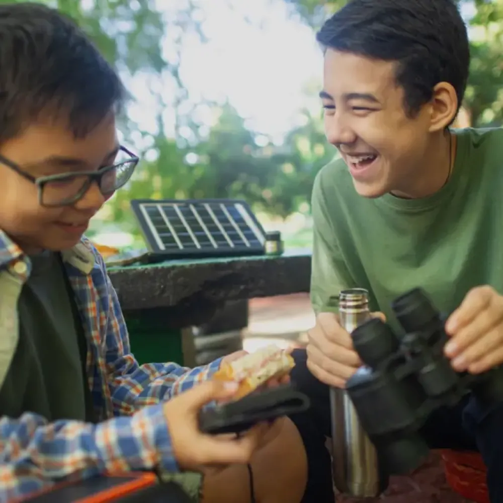 energy and environment research